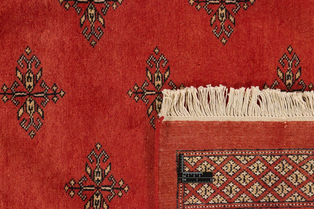 Pakistan Buchara 2ply - 1