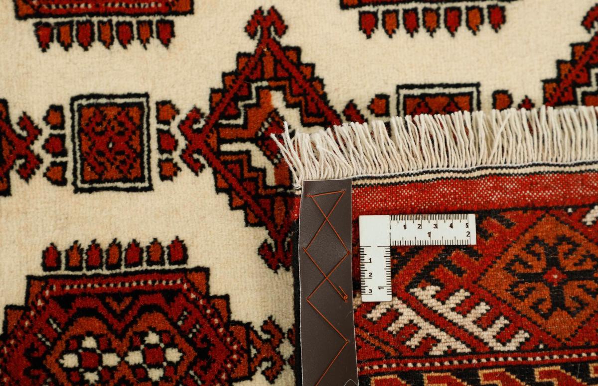 Turkaman - 1