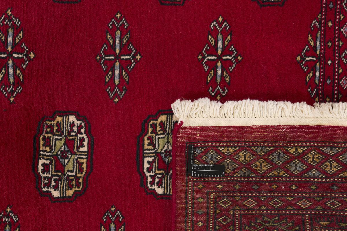Pakistan Buchara 2ply - 1