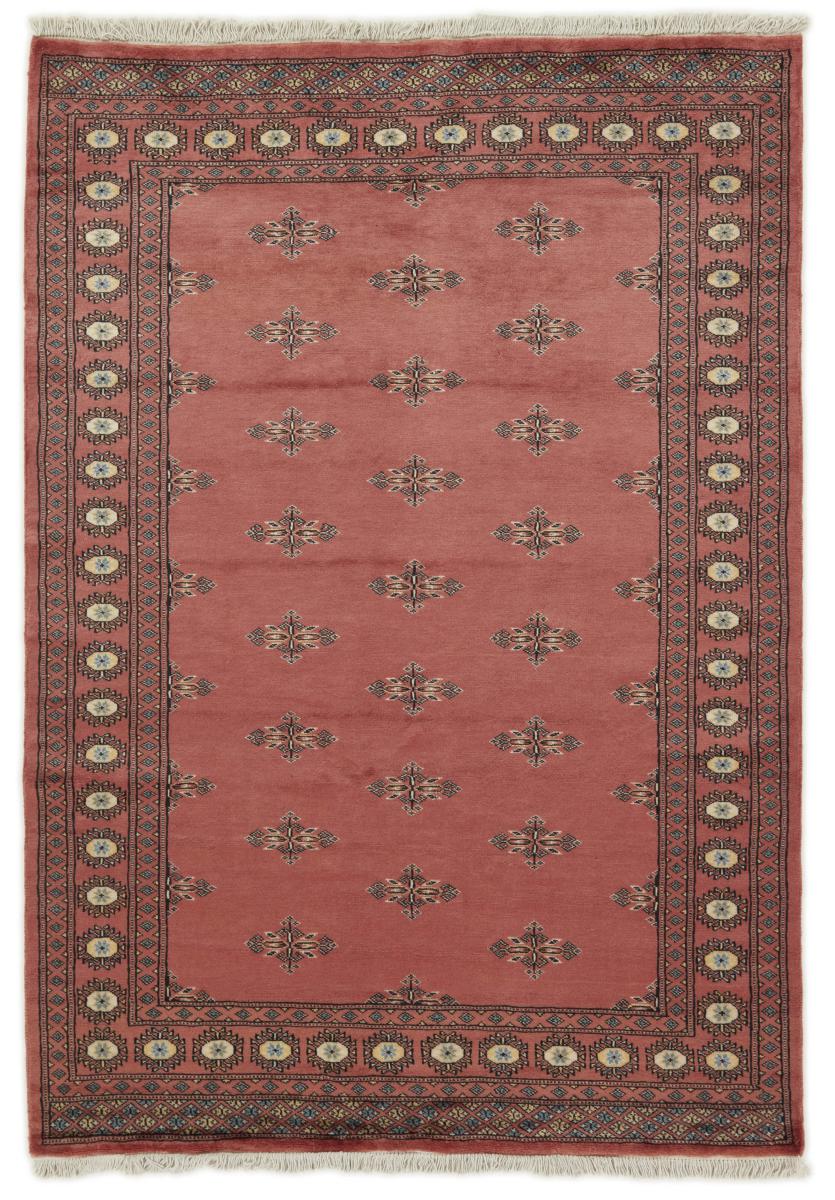 Tapis pakistanais Pakistan Buchara 2ply 199x138 199x138, Tapis persan Noué à la main