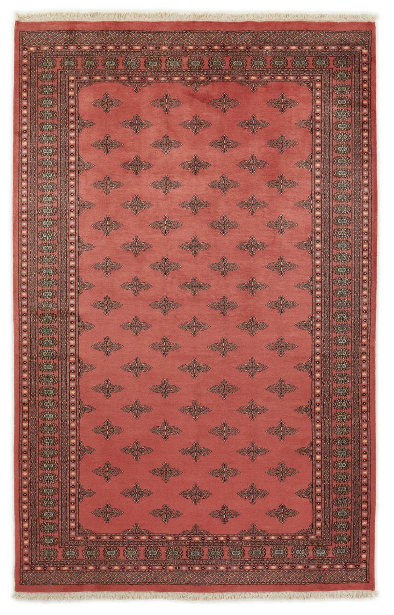 Tapete do Paquistão Paquistão Buchara 2ply 315x197 315x197, Tapete persa Feito à mão