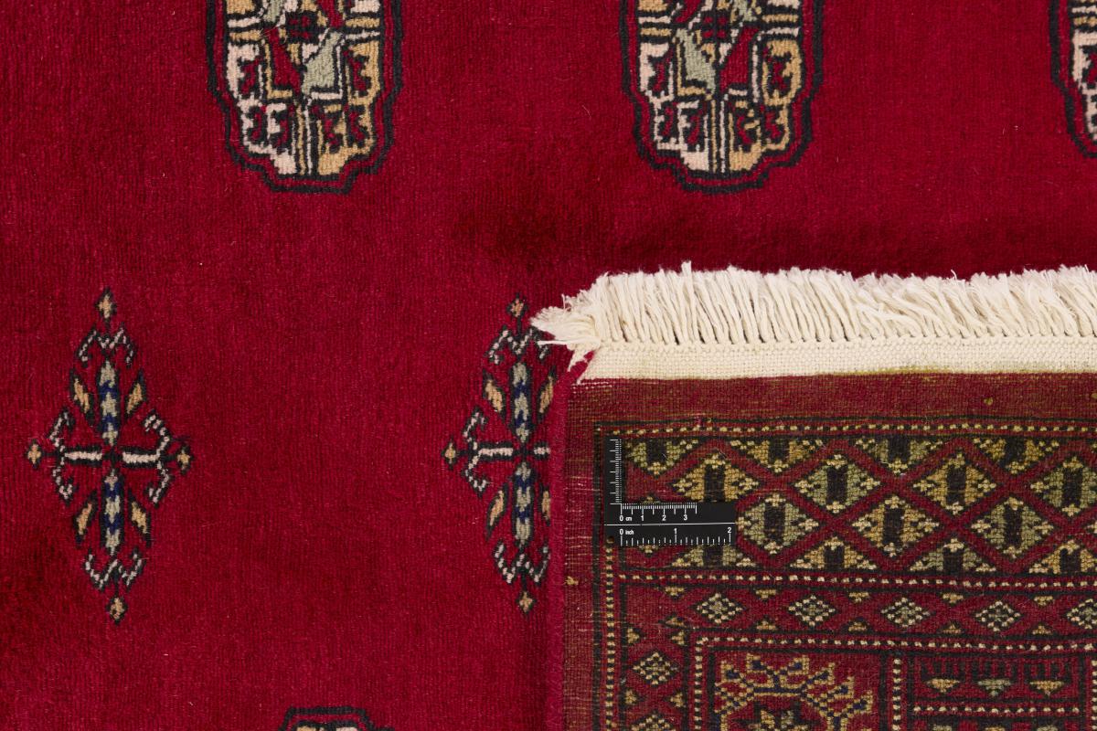 Pakistan Buchara 2ply - 1