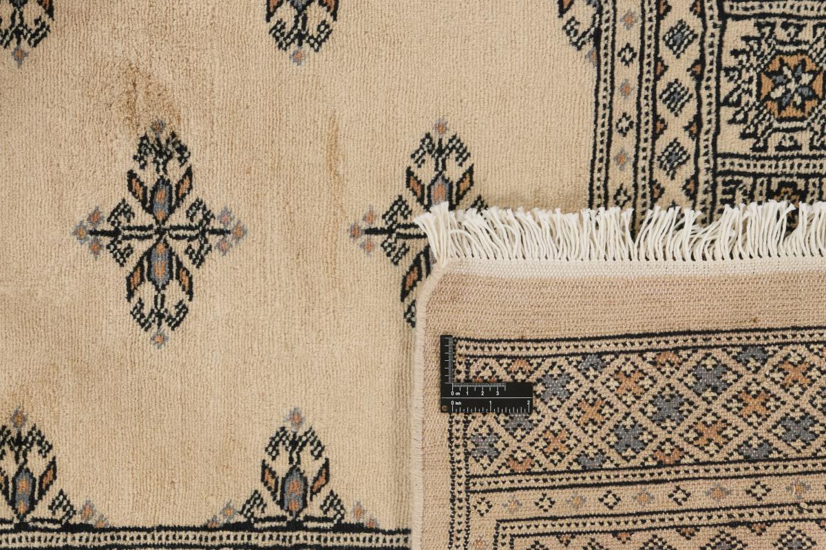 Pakistan Buchara 2ply - 1