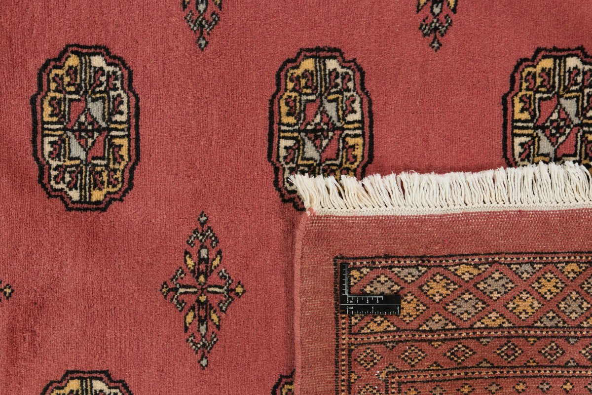 Pakistan Buchara 2ply - 1