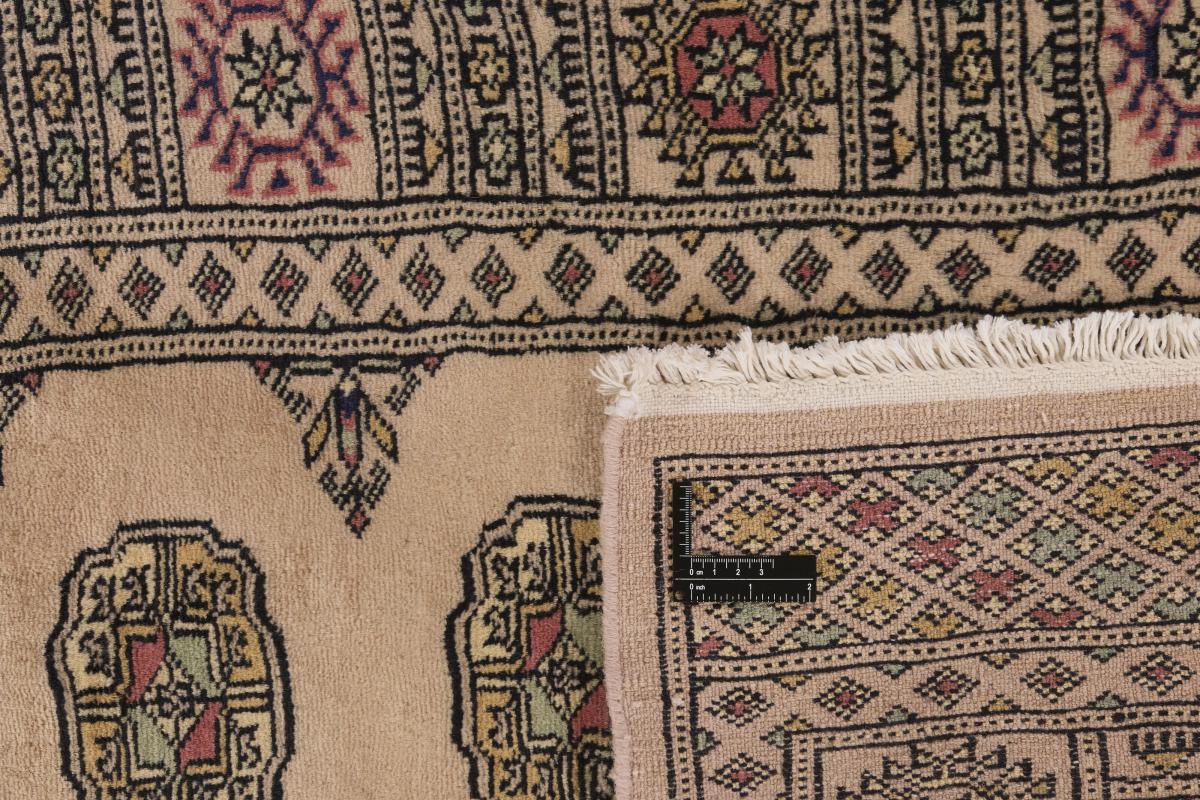 Pakistan Buchara 3ply - 1