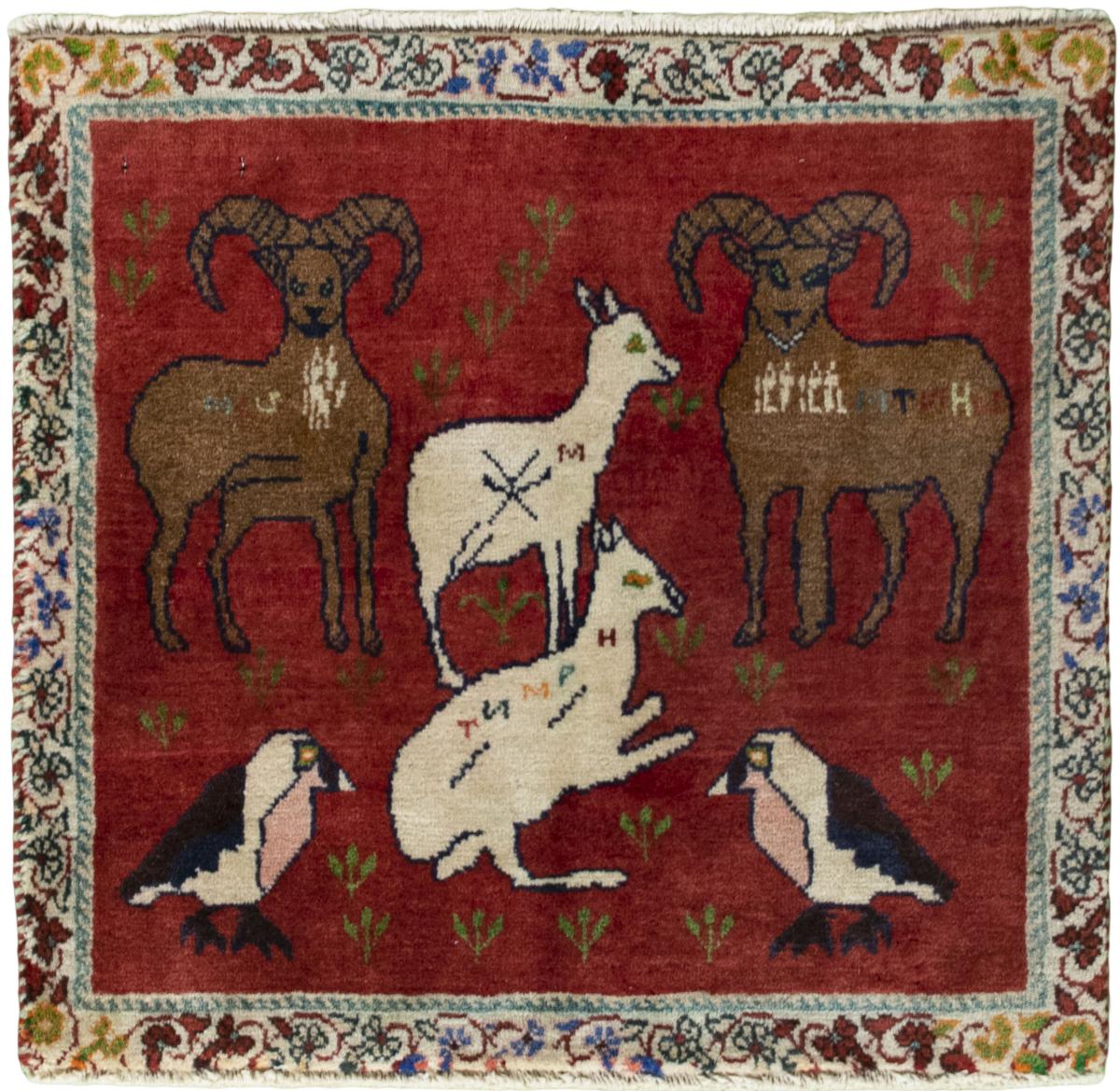 Tappeto persiano Shiraz 54x56 54x56, Tappeto persiano Annodato a mano