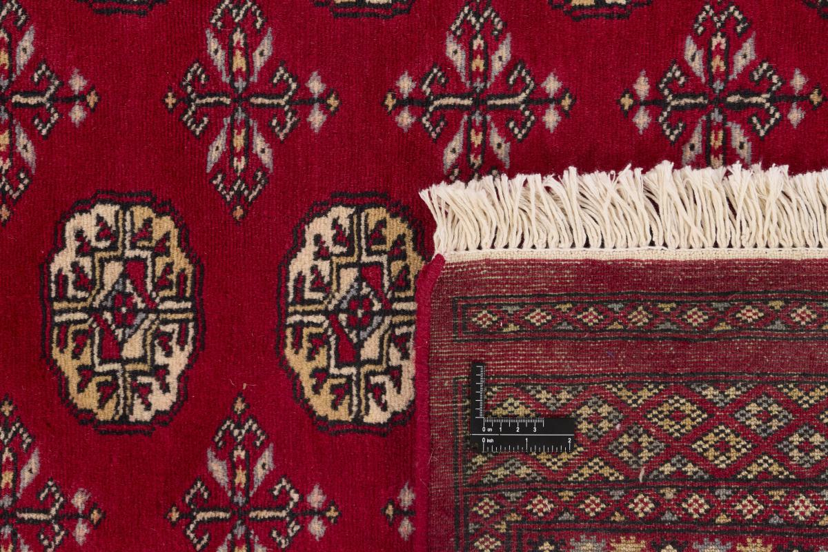 Pakistan Buchara 2ply - 1