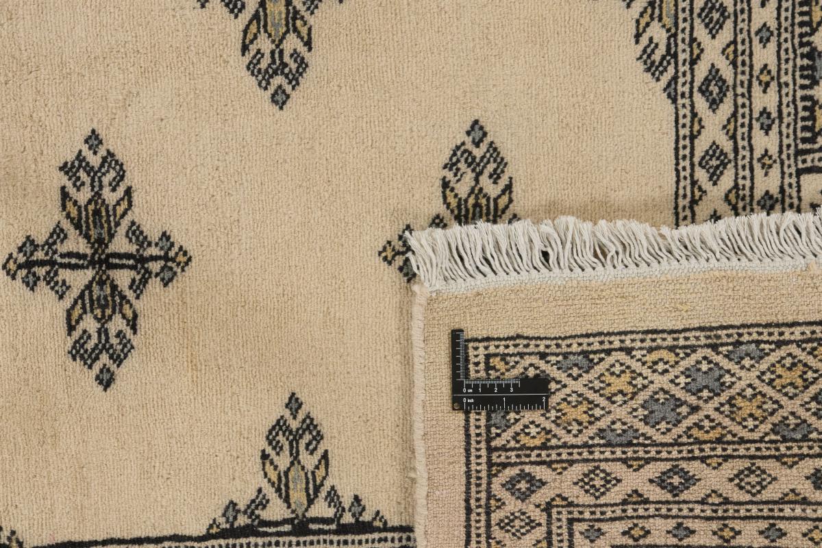 Pakistan Buchara 2ply - 1