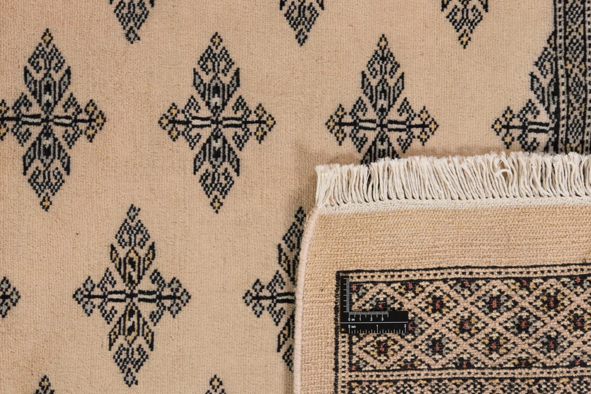 Pakistański Buchara 2ply - 1