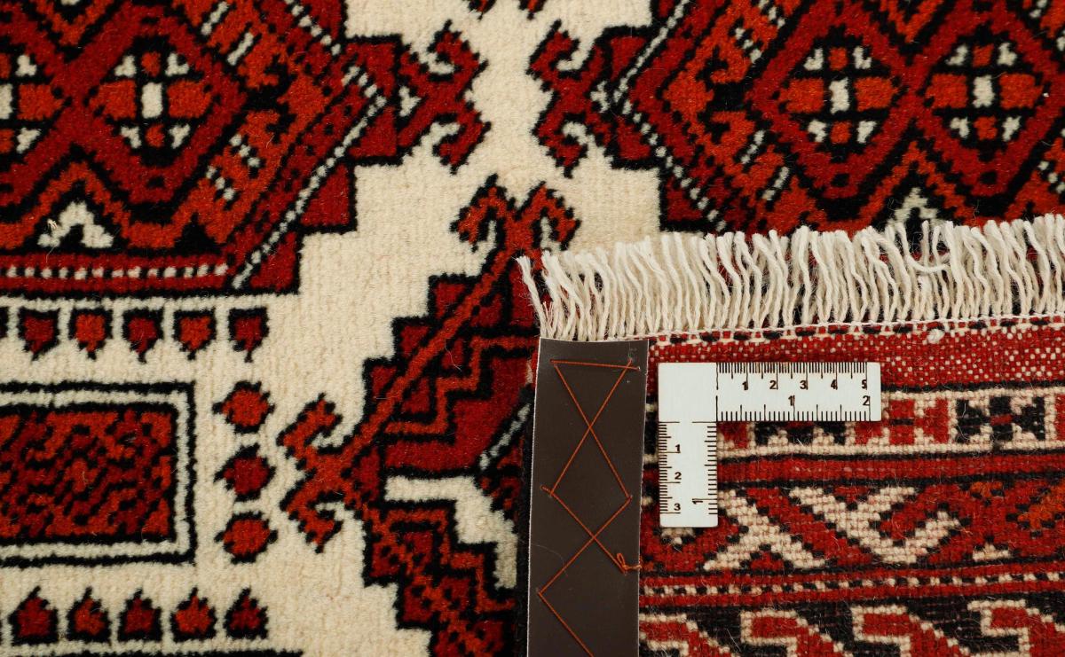 Turkaman - 1