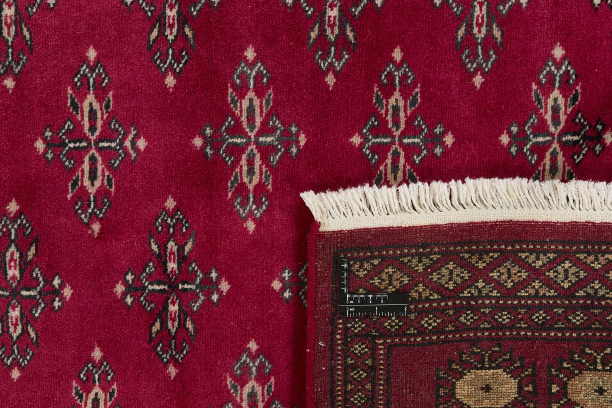Pakistan Buchara 2ply - 1