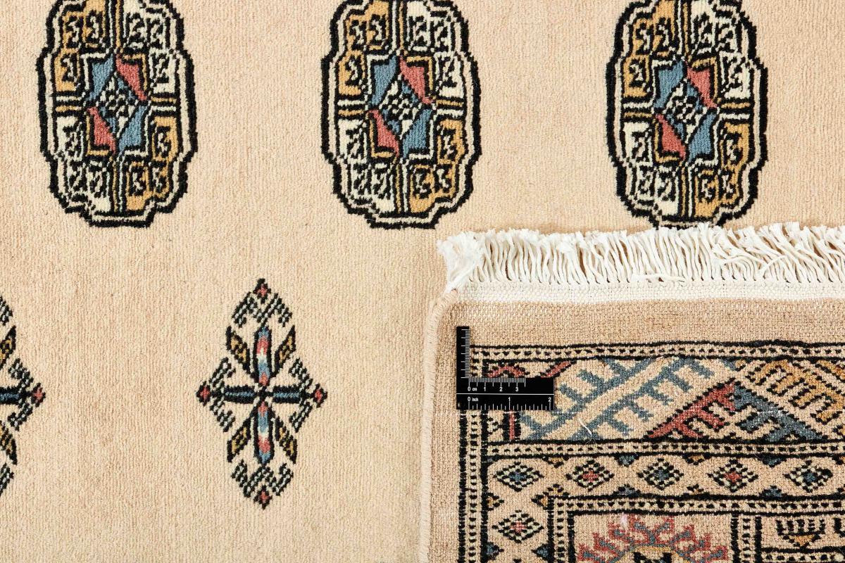Pakistan Buchara 2ply - 1