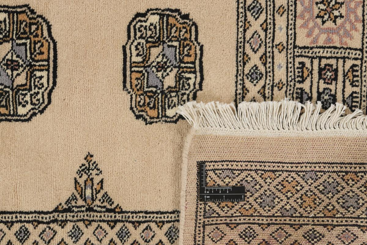 Pakistan Buchara 2ply - 1