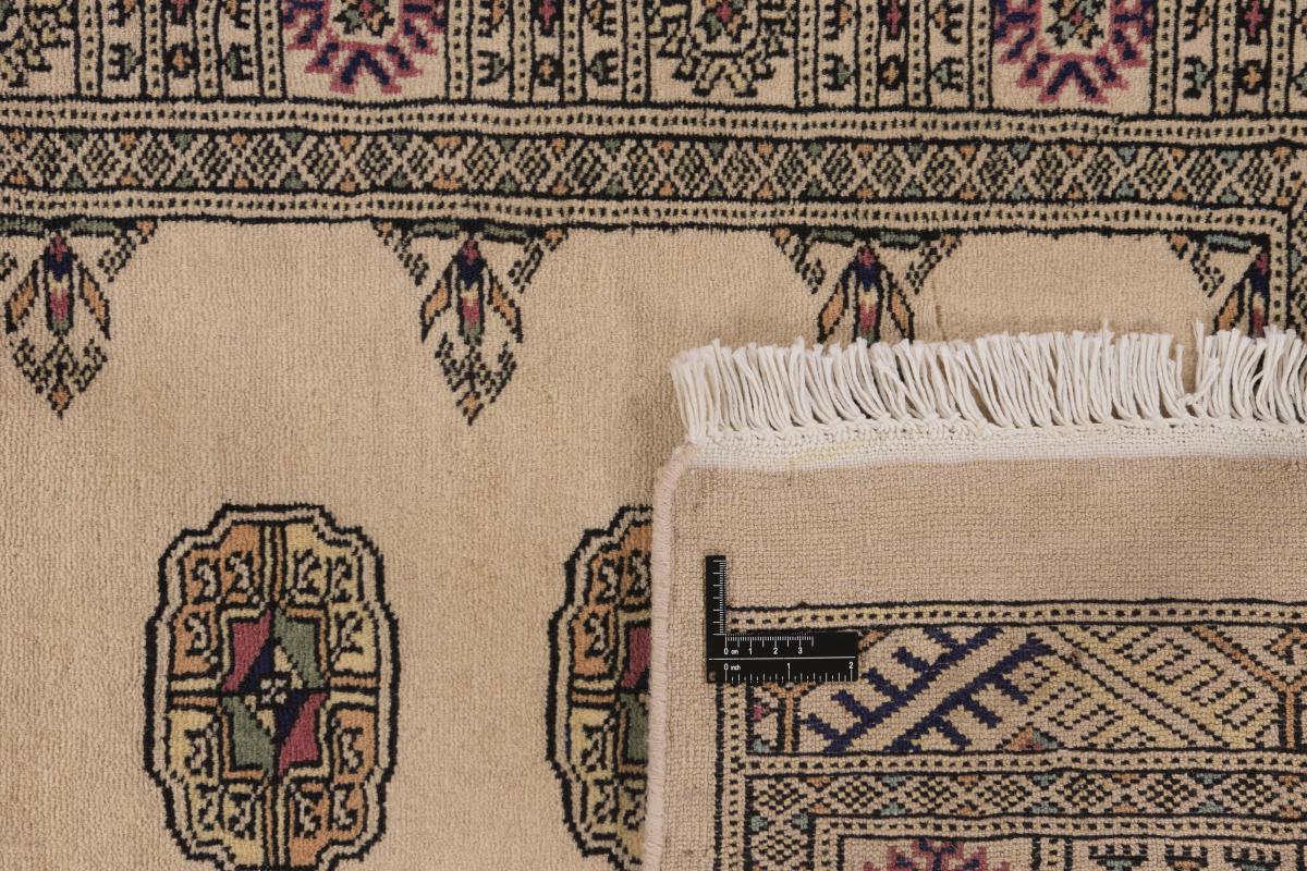 Pakistan Buchara 3ply - 1