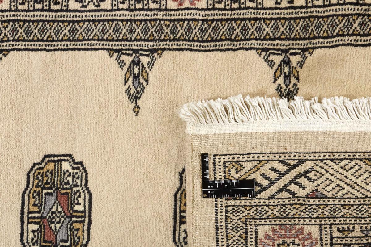 Pakistan Buchara 3ply - 1