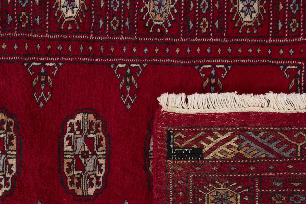 Pakistan Buchara 3ply - 1