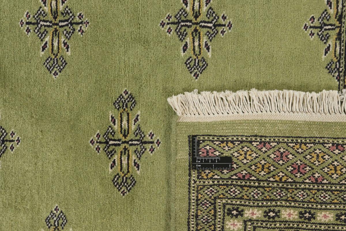 Pakistan Buchara 2ply - 1