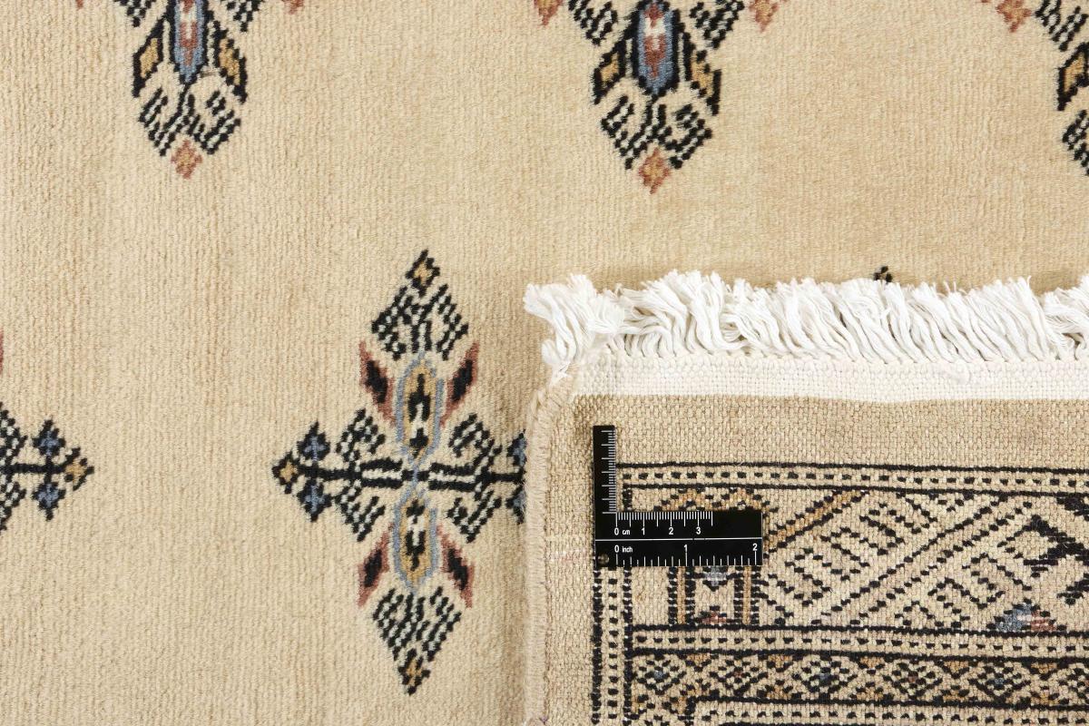 Pakistan Buchara 2ply - 1