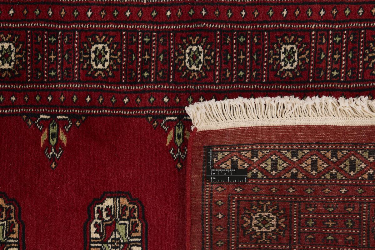 Pakistan Buchara 2ply - 1