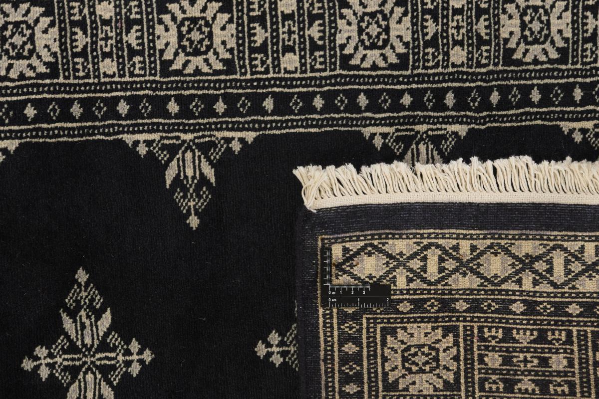 Pakistan Buchara 2ply - 1