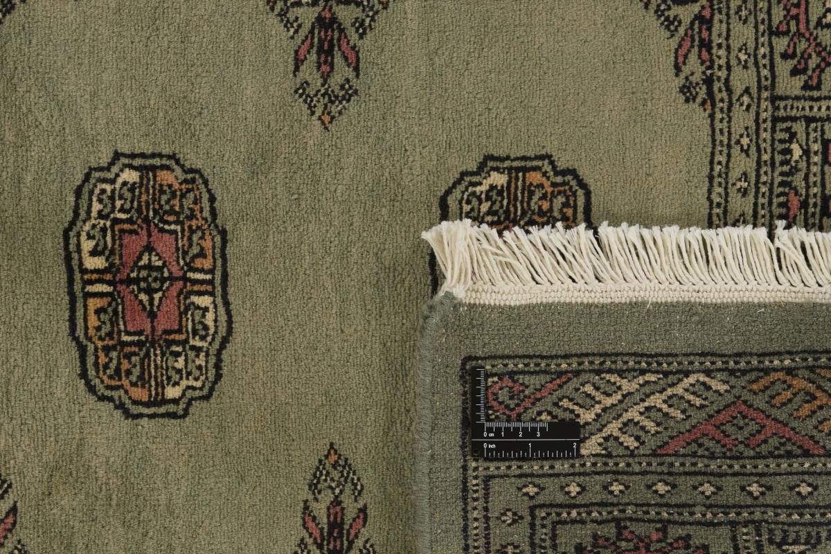 Pakistan Buchara 3ply - 1