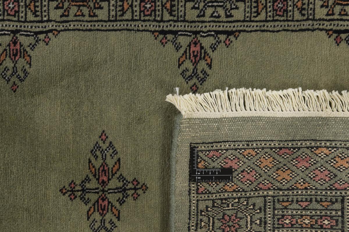 Pakistan Buchara 3ply - 1