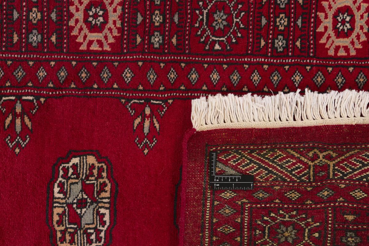 Pakistan Buchara 3ply - 1