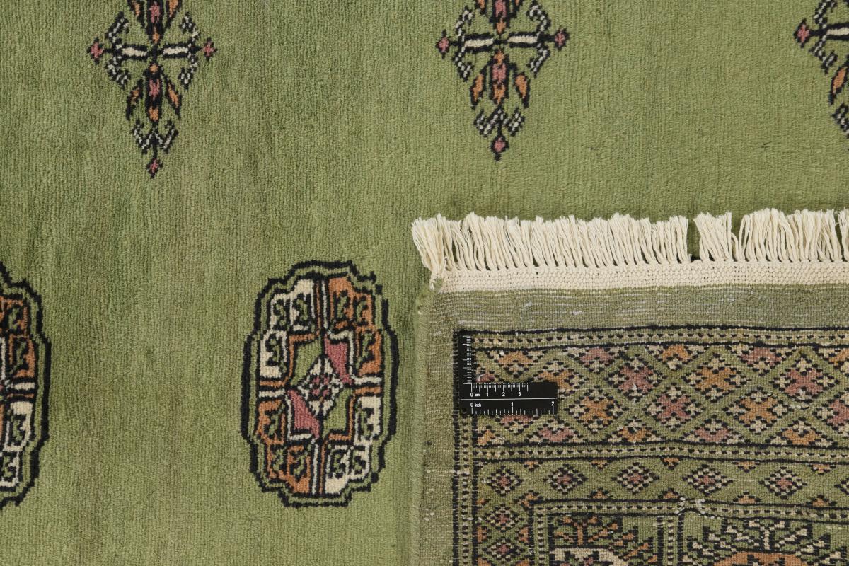 Pakistan Buchara 2ply - 1