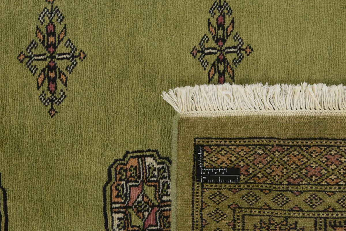 Pakistan Buchara 2ply - 1
