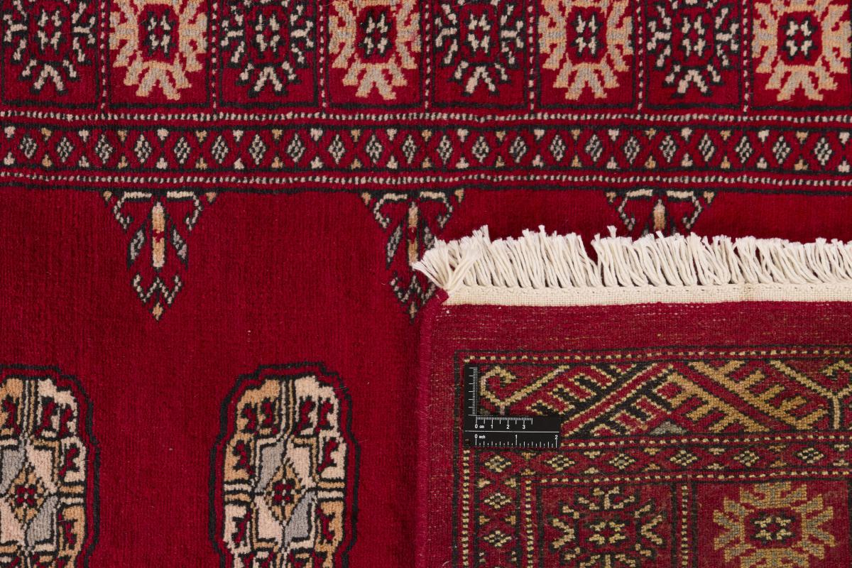 Pakistan Buchara 3ply - 1