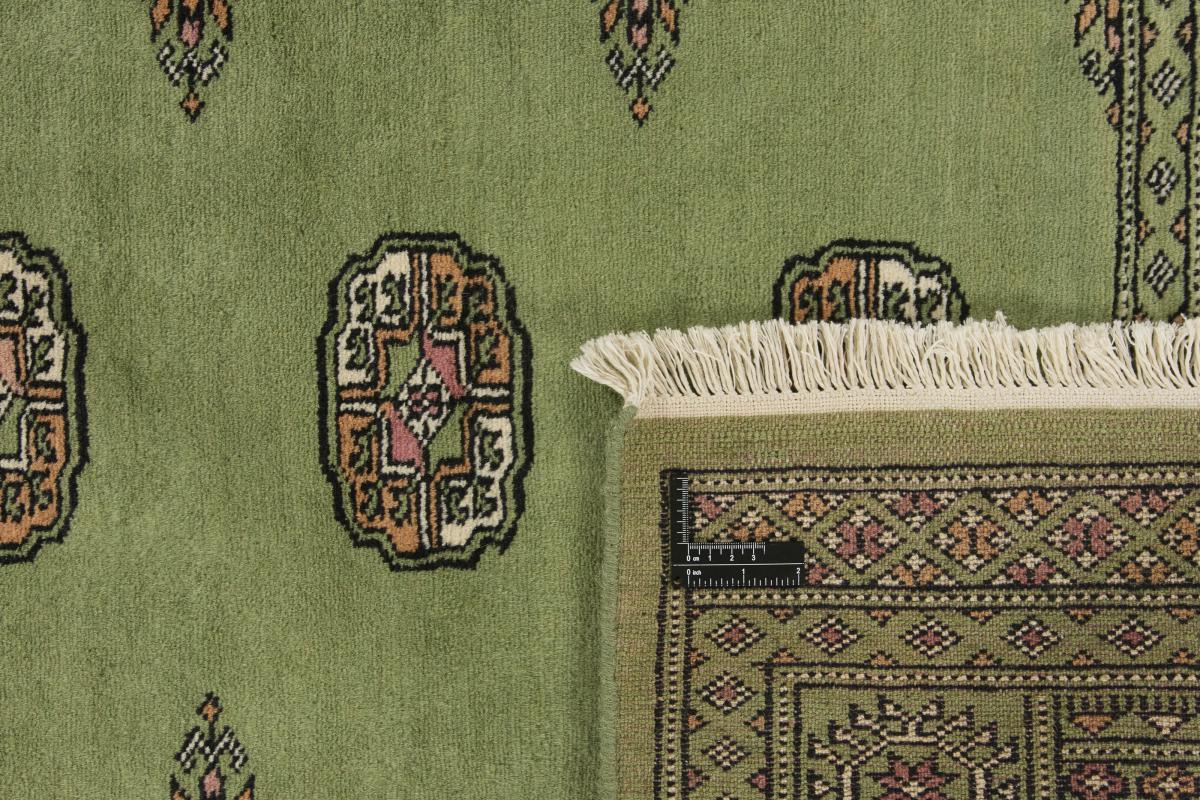 Pakistan Buchara 2ply - 1
