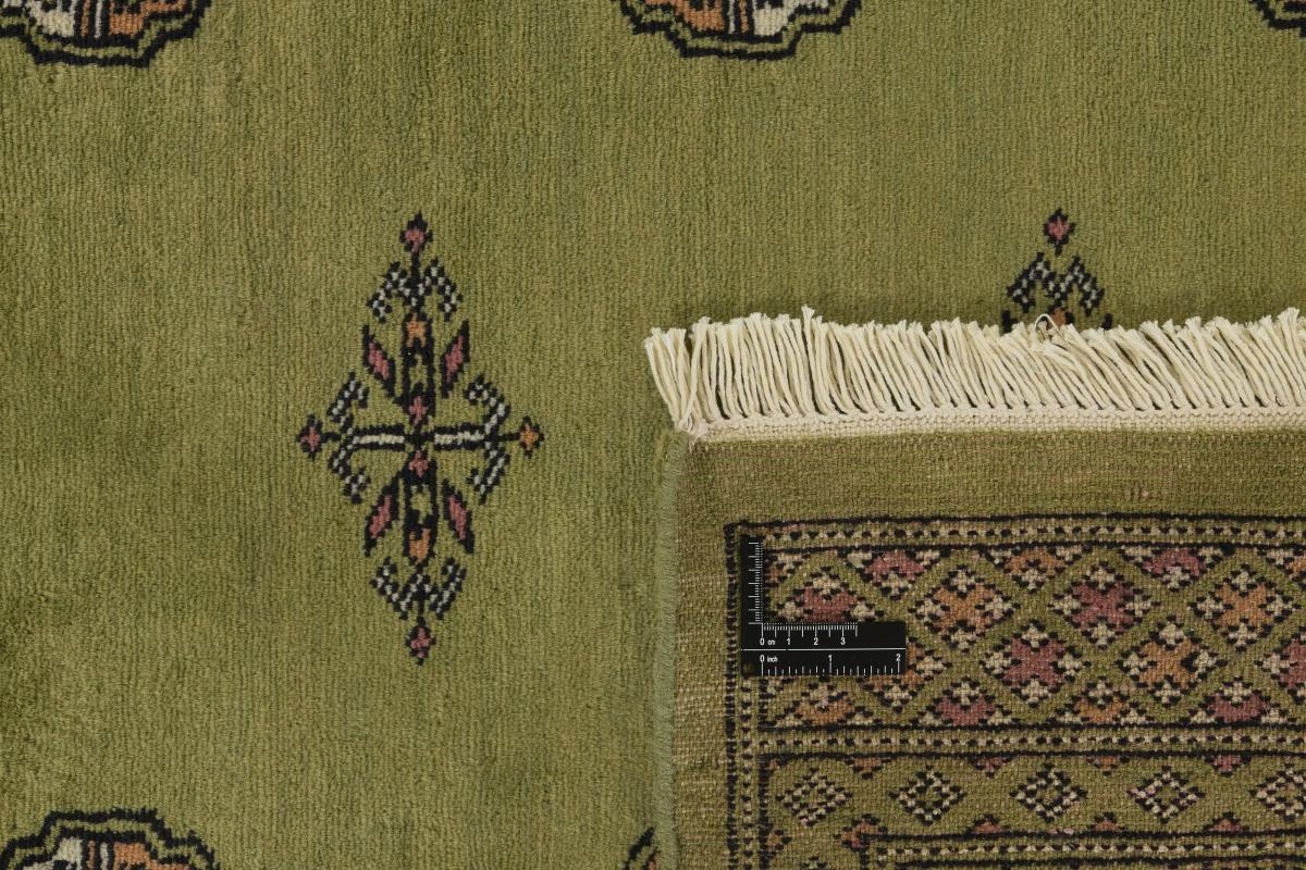 Pakistan Buchara 2ply - 1