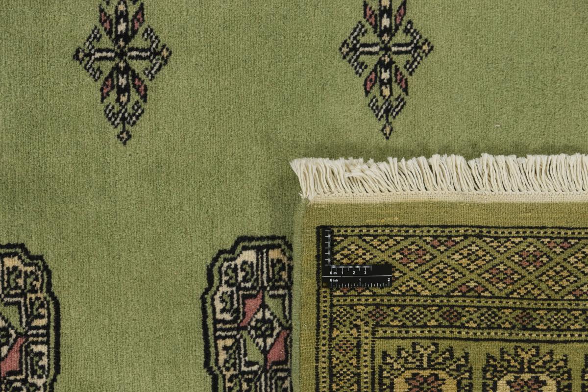 Pakistan Buchara 2ply - 1