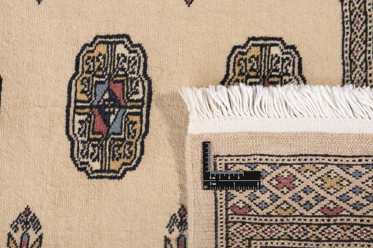 Pakistan Buchara 2ply - 1
