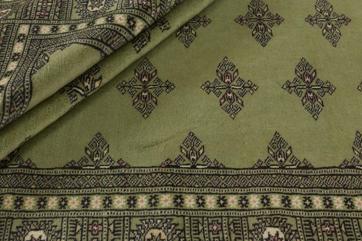 Pakistan Buchara 2ply - 1