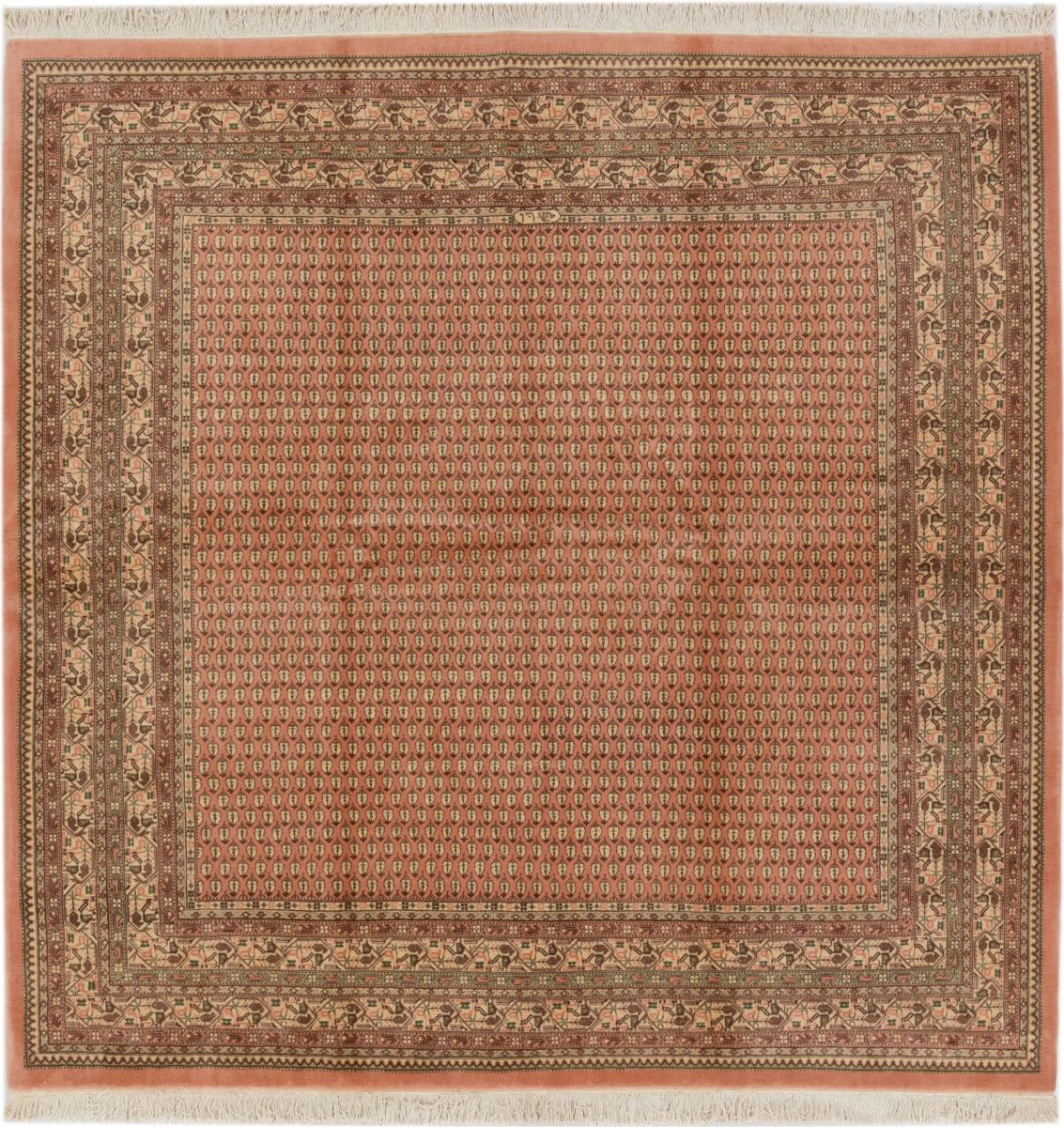 Persian rug Albania 250x248 250x248, Persian rug Hand-knotted