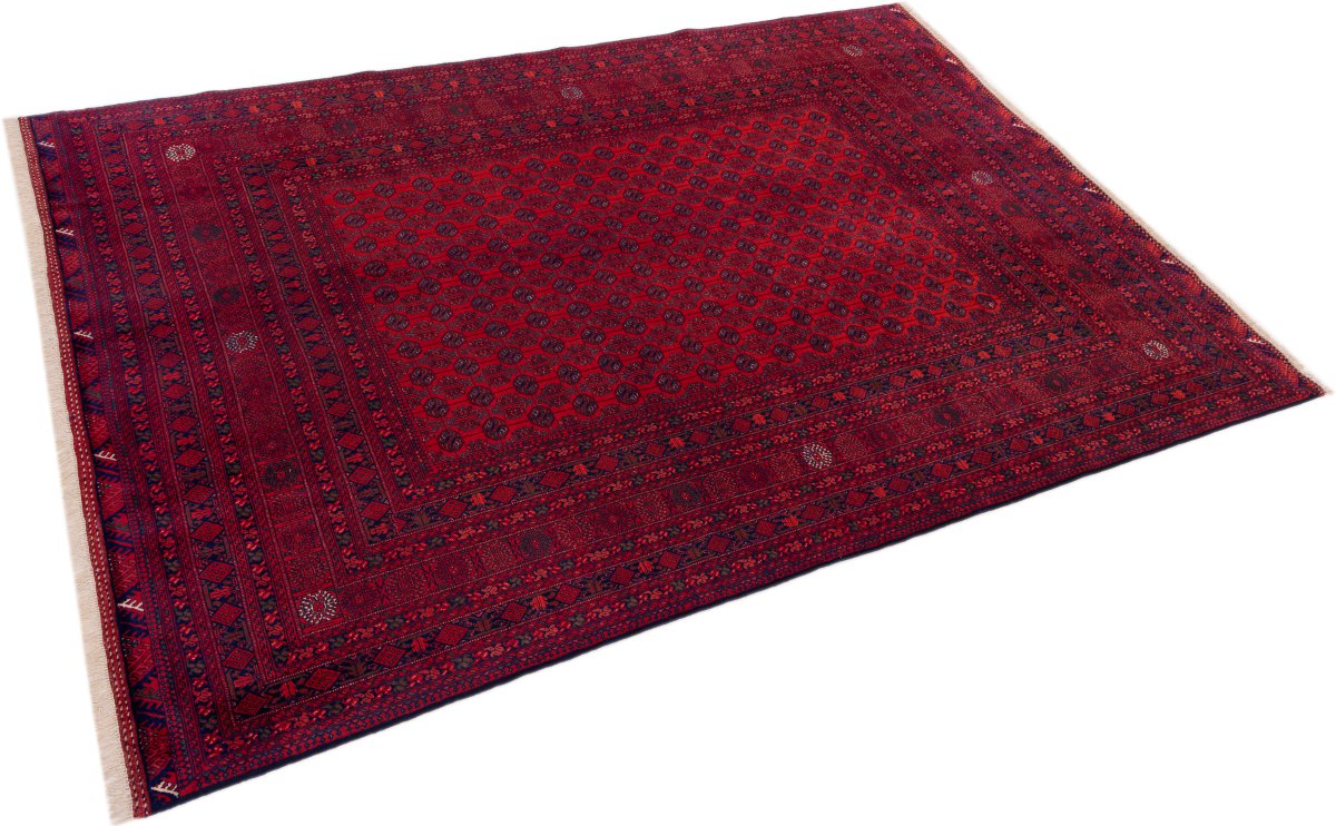 Afghan Mauri - 1