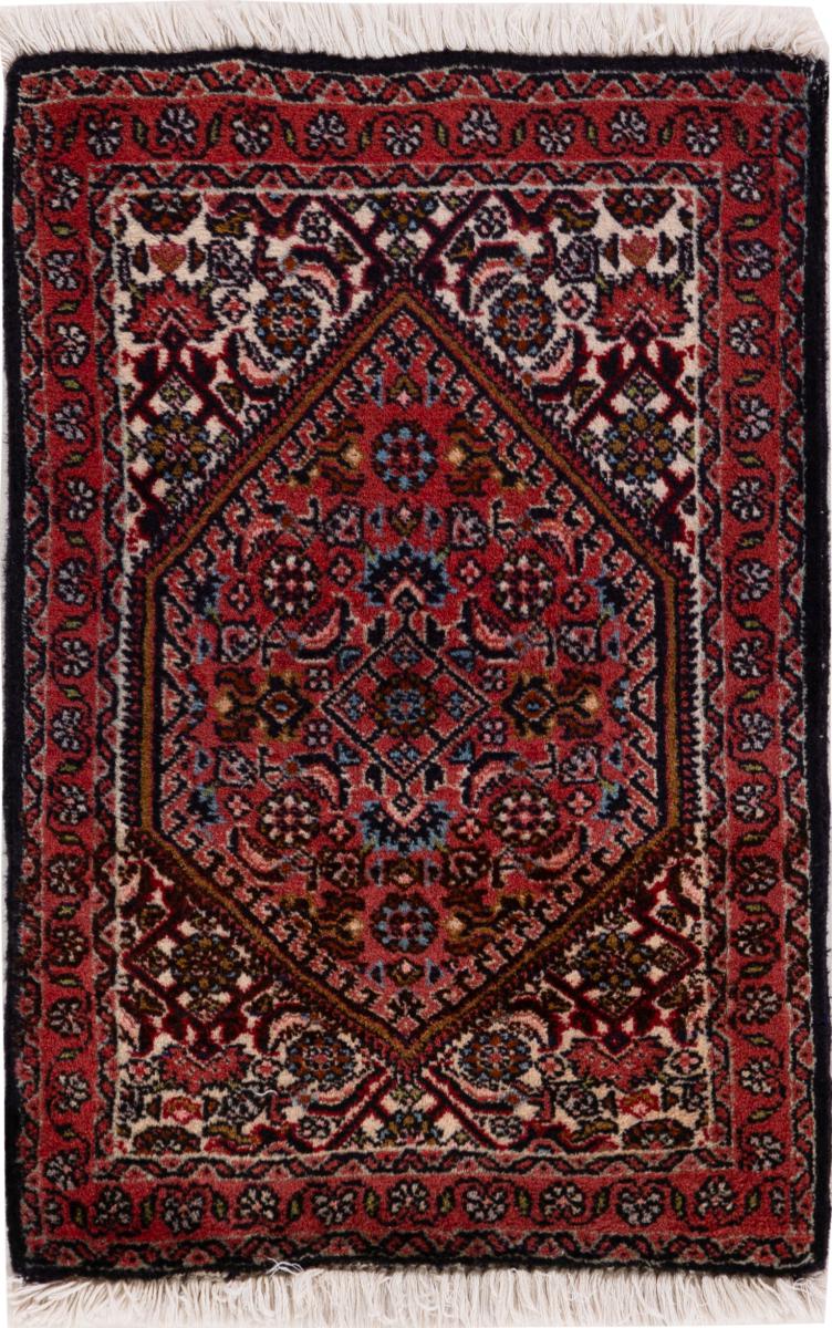 Persian Rug Bidjar 61x41 61x41, Persian Rug Knotted by hand