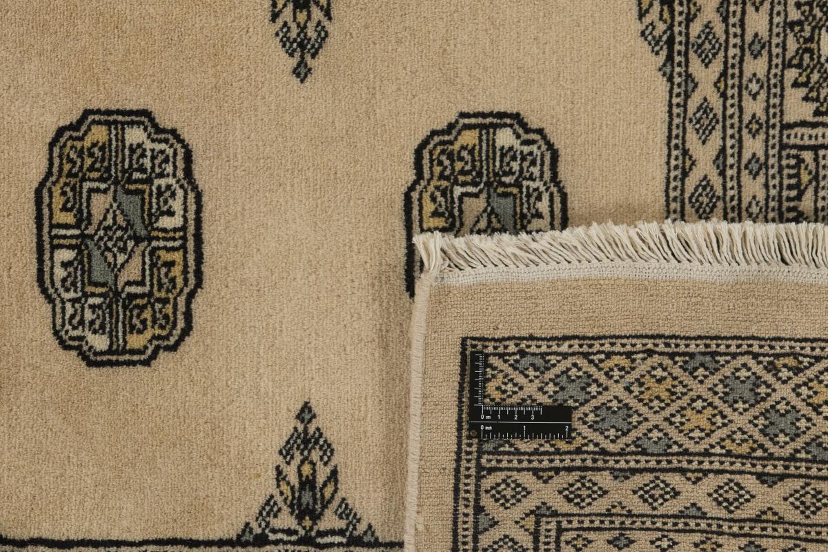 Pakistan Buchara 2ply - 1