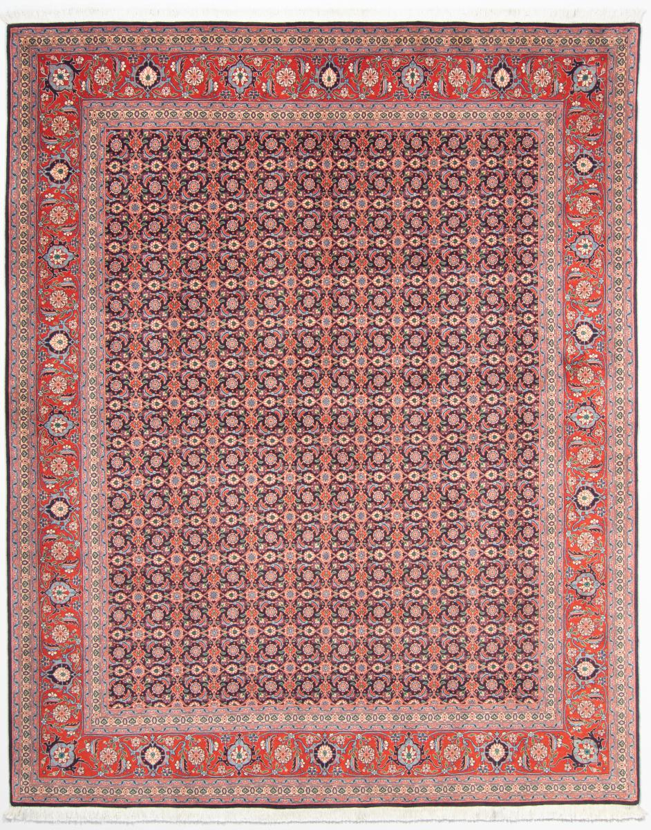 Tapete persa Tabriz 50Raj 253x200 253x200, Tapete persa Atado à mão