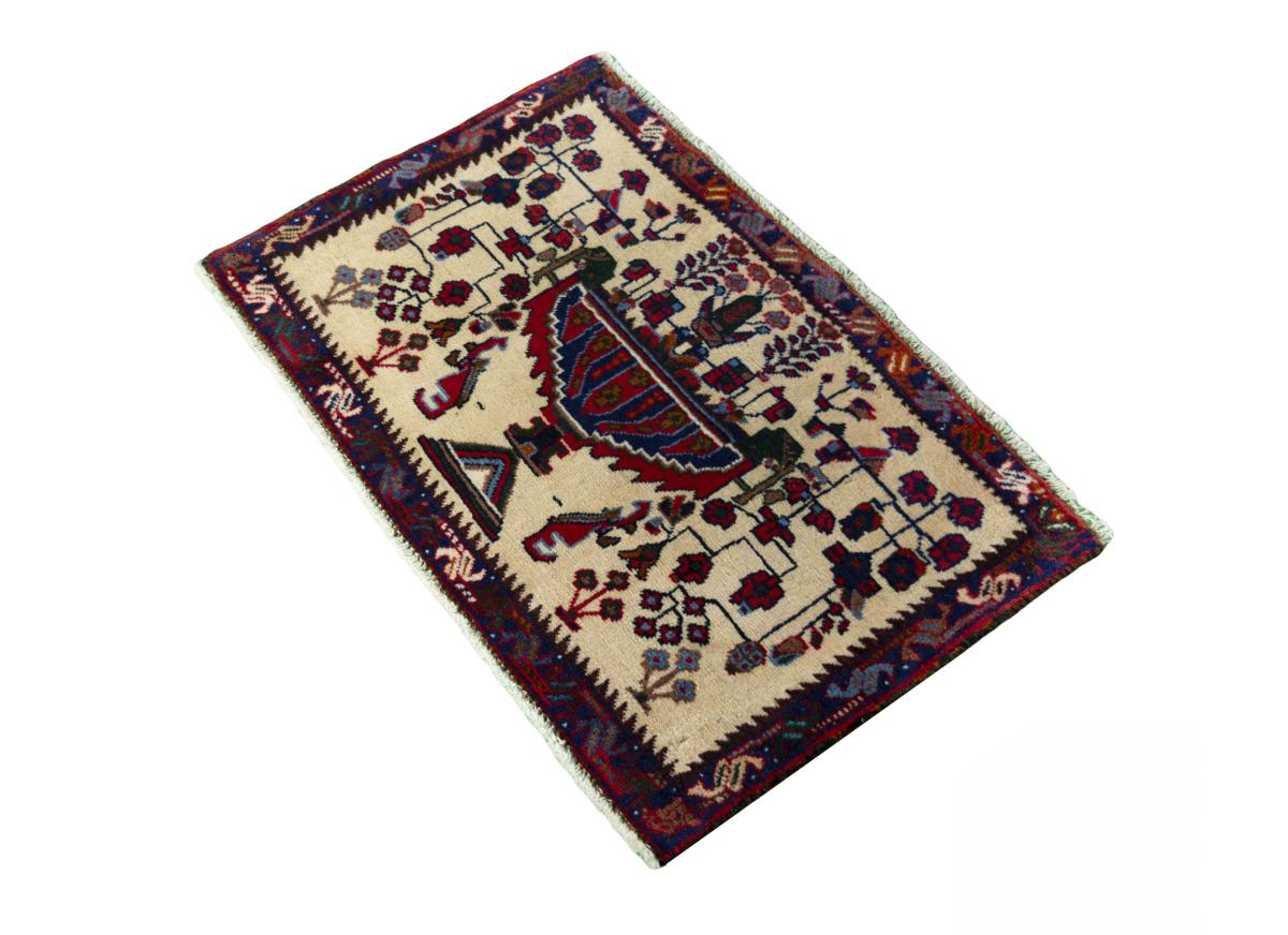 Shiraz - 1