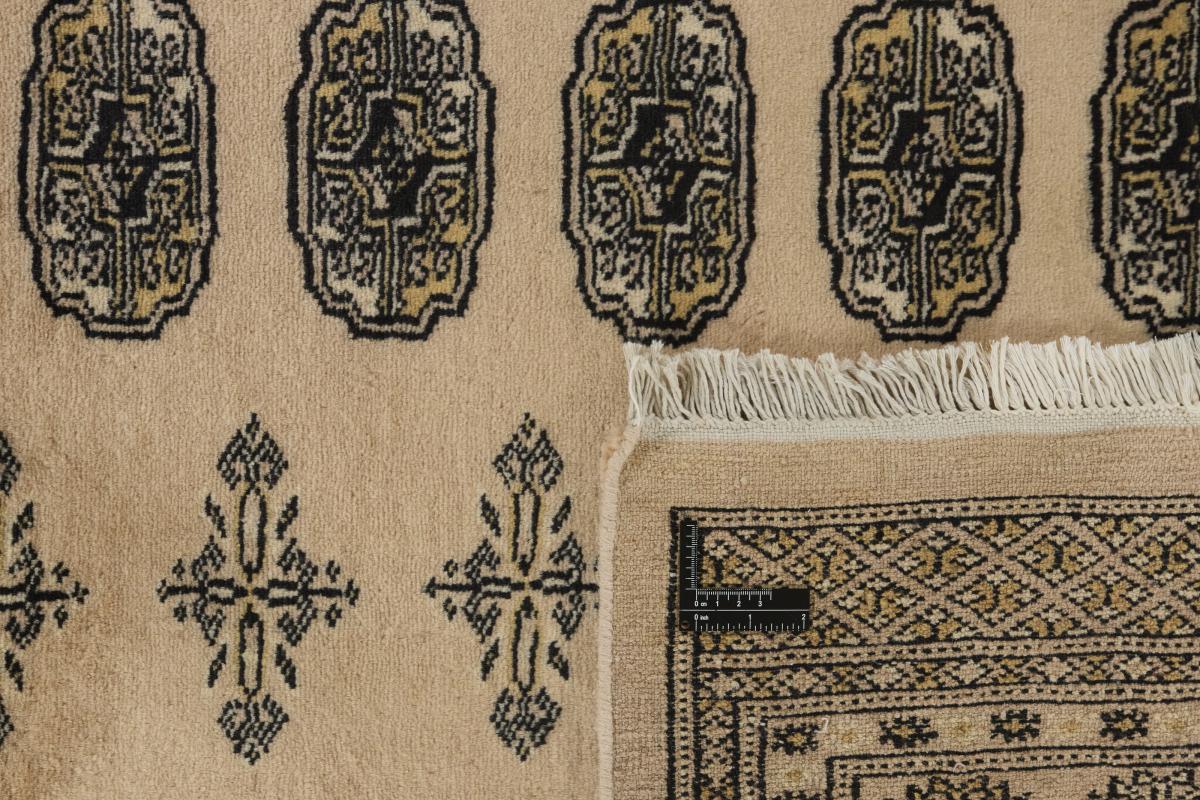 Pakistan Buchara 2ply - 1