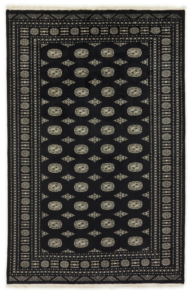 Pakistani rug Pakistan Buchara 2ply 10'1"x6'6" 10'1"x6'6", Persian rug Hand-knotted