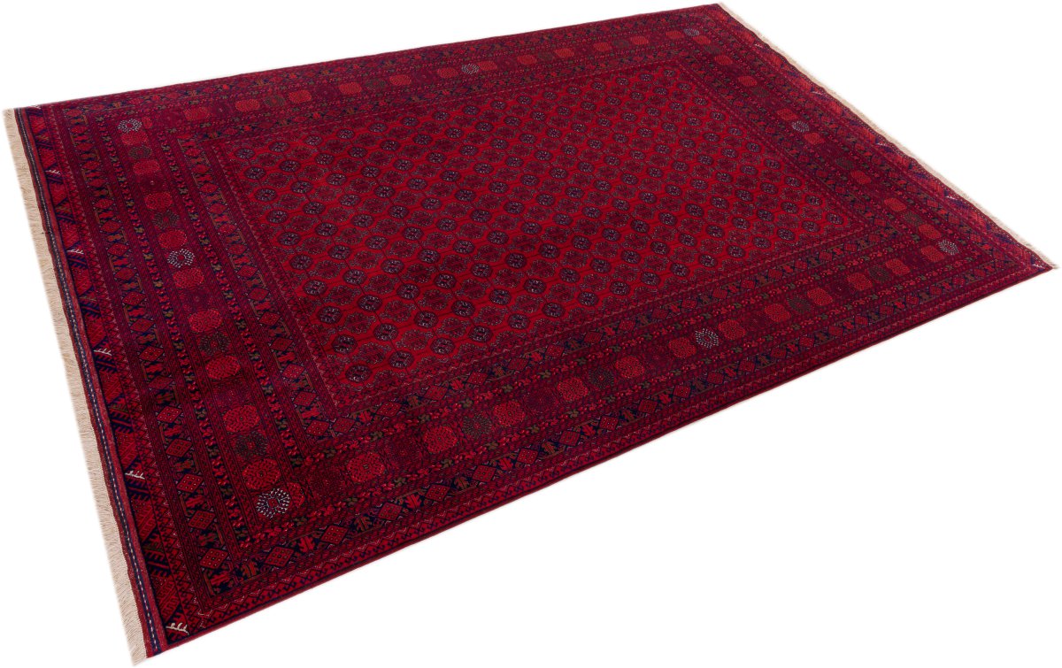 Afghan Mauri - 1