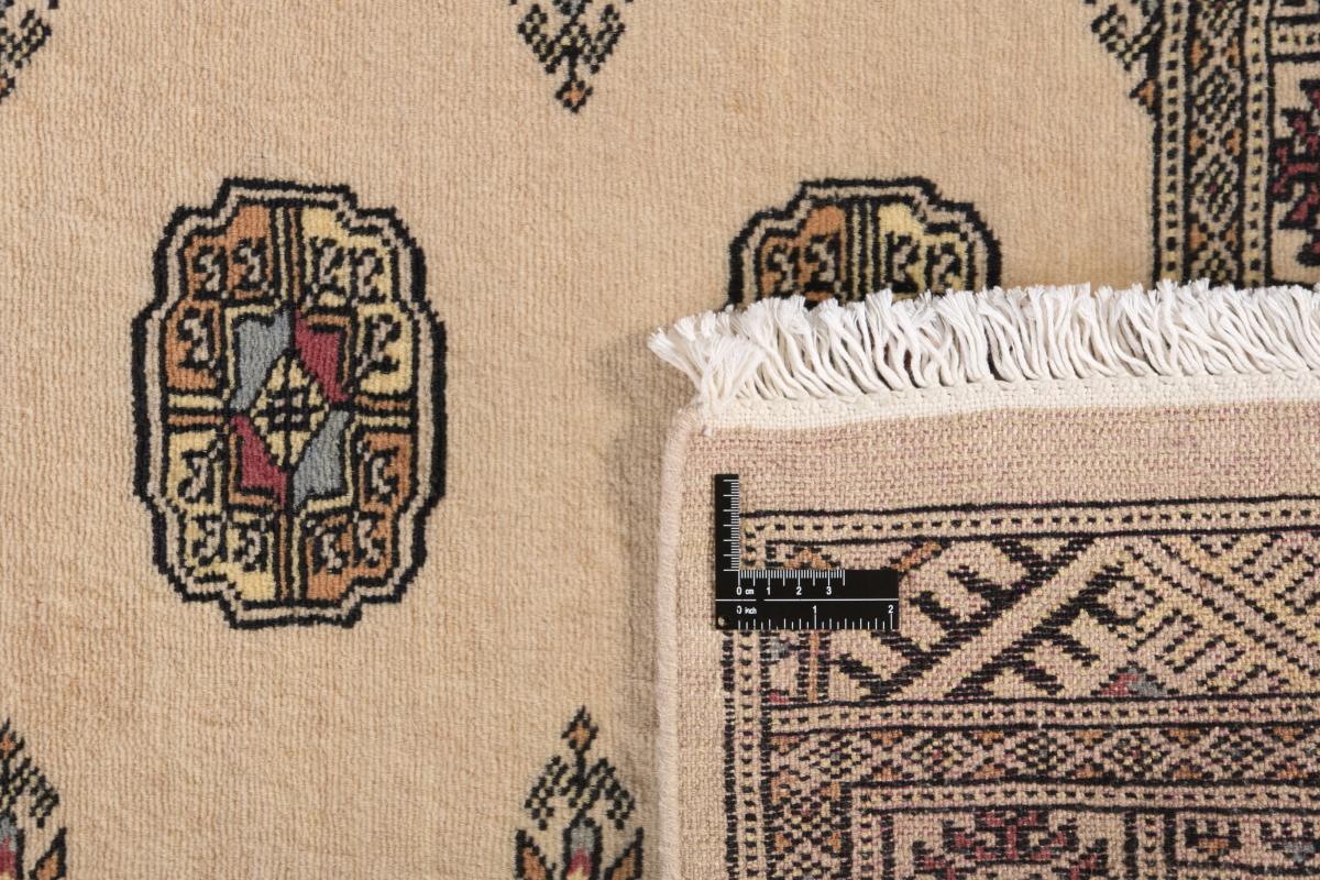 Pakistan Buchara 2ply - 1