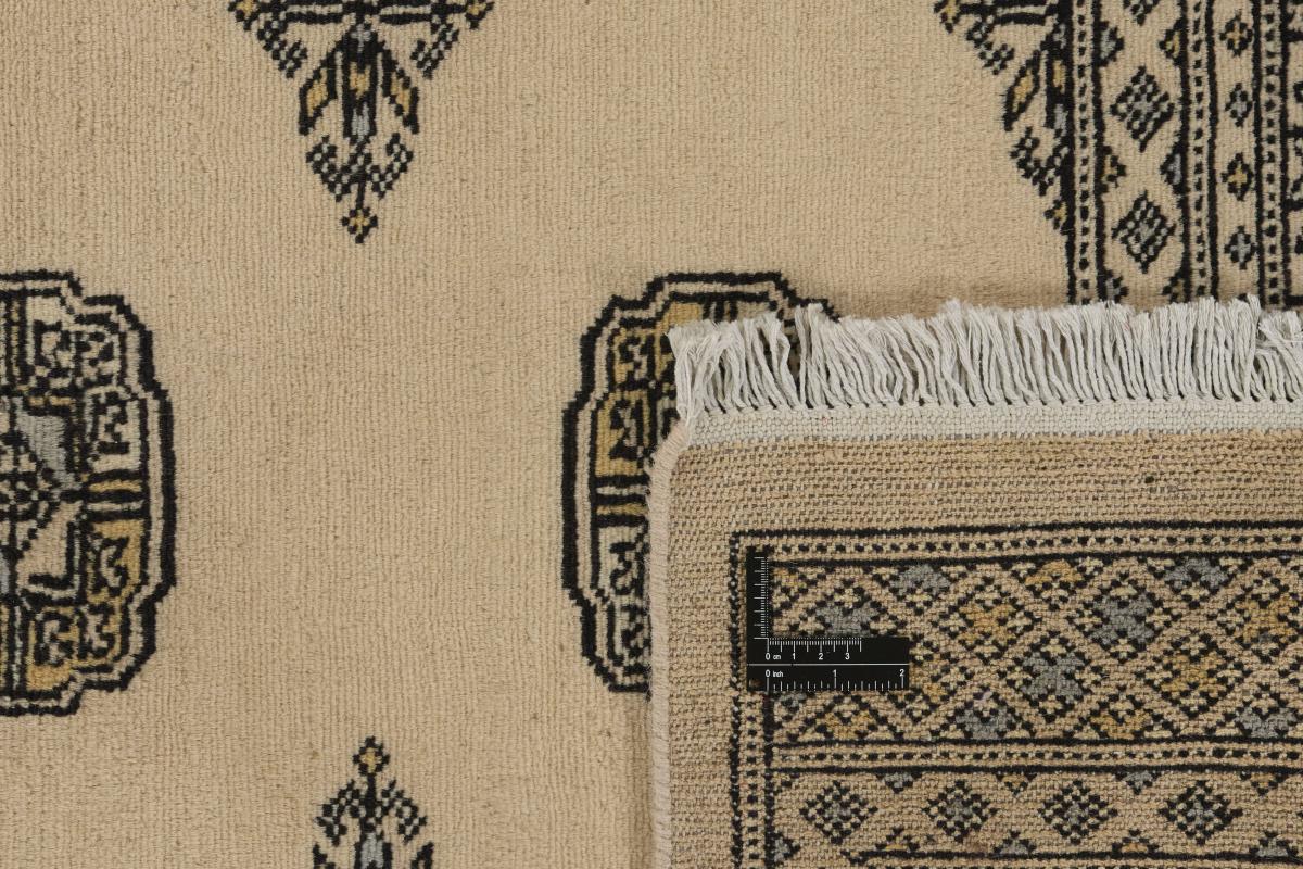 Pakistan Buchara 2ply - 1