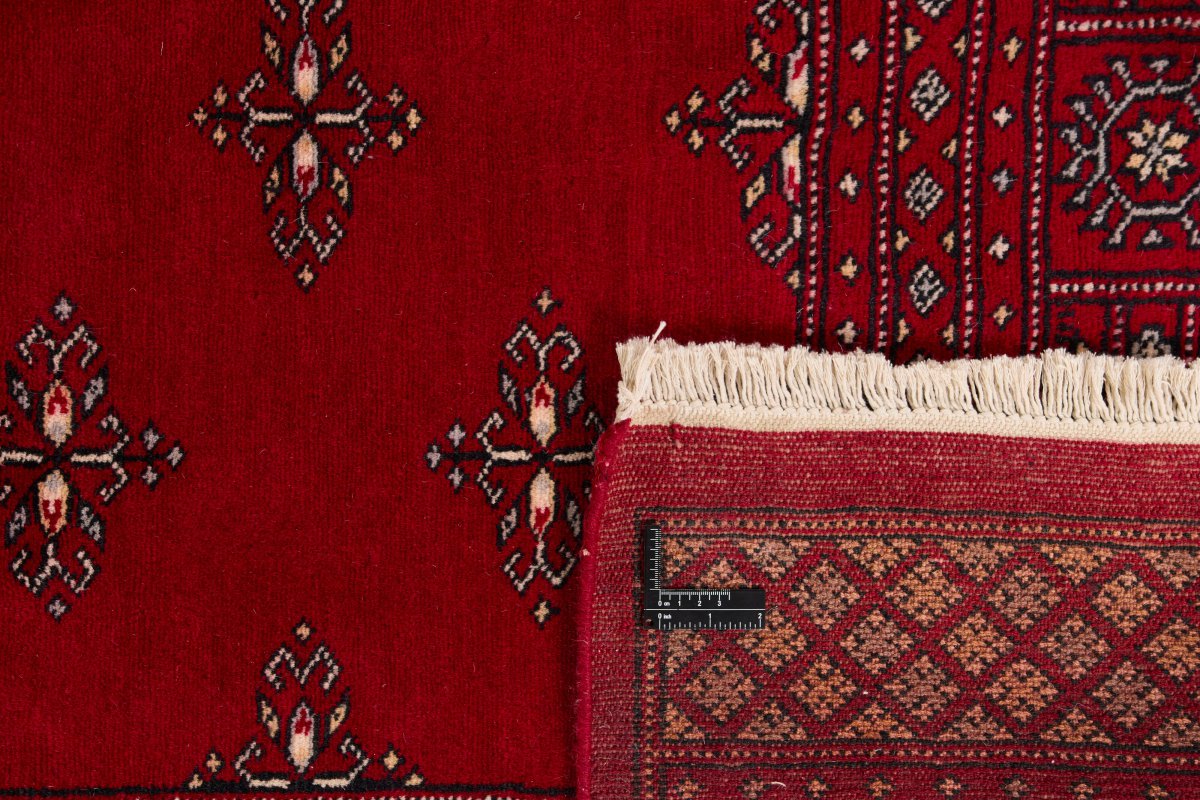 Pakistan Buchara 2ply - 1
