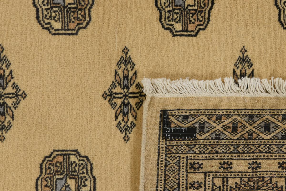 Pakistan Buchara 2ply - 1