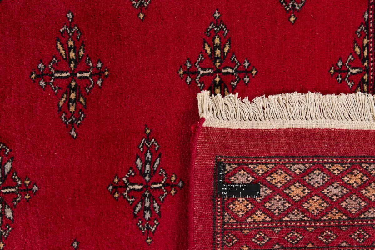 Pakistan Buchara 2ply - 1