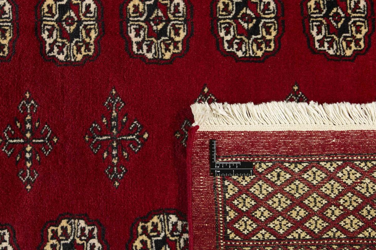 Pakistan Buchara 2ply - 1